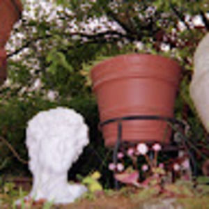 Meet your Posher, Janessa